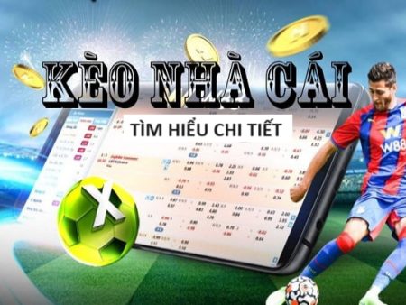 Dự đoán kết quả xổ số miền Bắc chiều nay