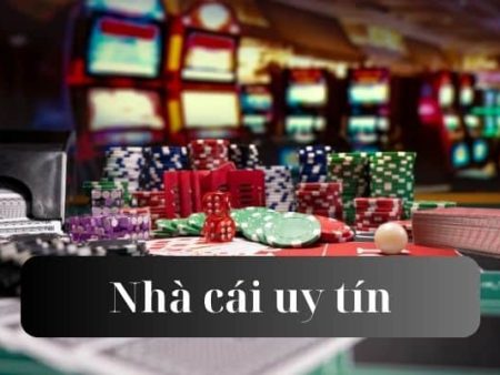 Bigbom Win： Chiến thắng lớn trong thị trường tiếp thị số